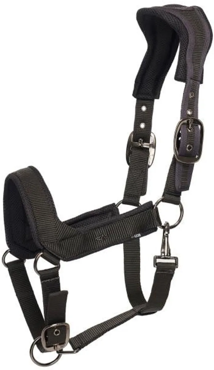 Halster HVPEsther - Maat Pony von HV Polo in Schwarz – Produktfoto