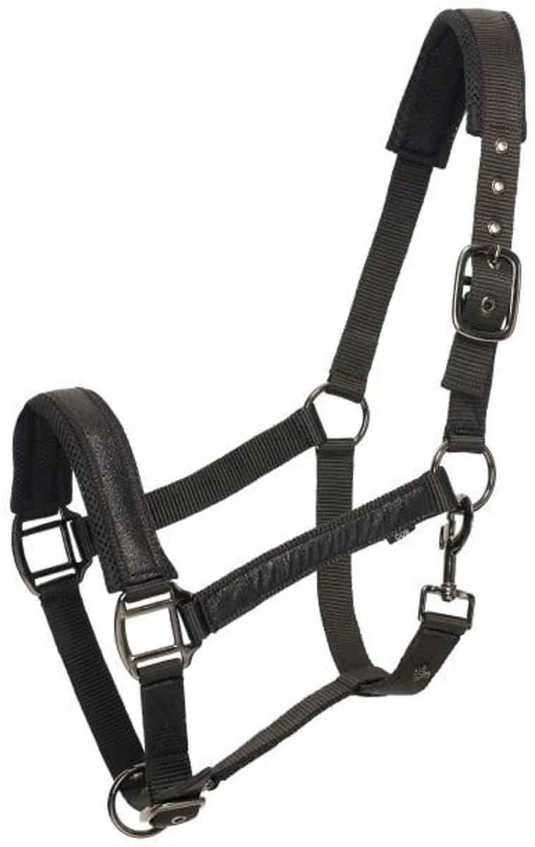 Halster HVPKaty - Maat Cob by HV Polo in Black – product photo