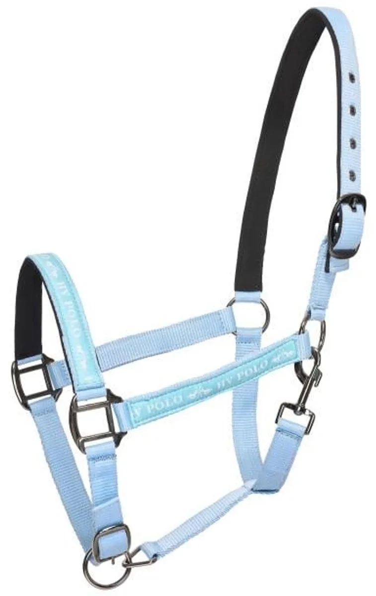 Halster HVPNena - Maat Veulen de HV Polo en Powder Blue – photo produit