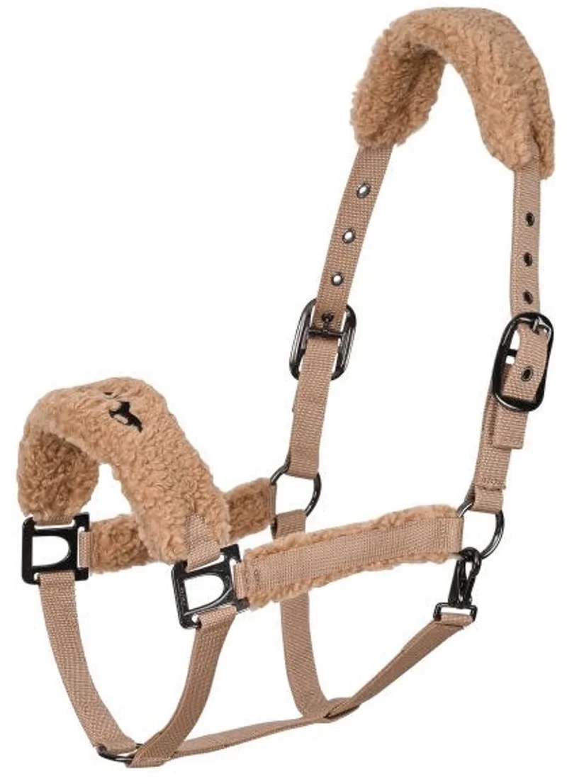 Halster Teddy Navy - Cob von HV Polo in Blau – Produktfoto