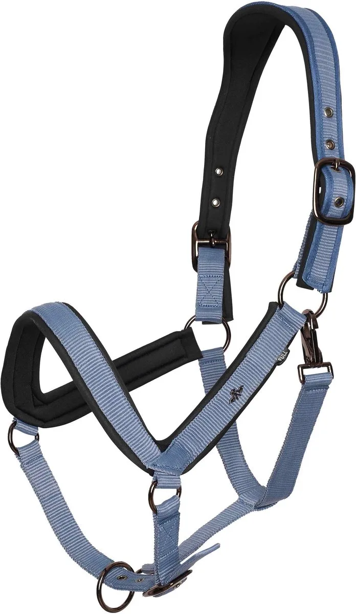 Halster voor paarden HV Polo Essential de HV Polo en Dark mist blue – photo produit