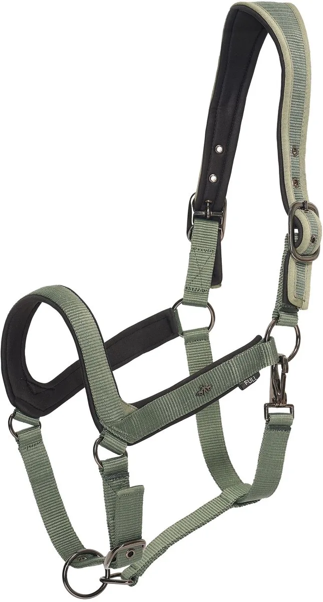 Halster voor paarden HV Polo Essential by HV Polo in Green – product photo