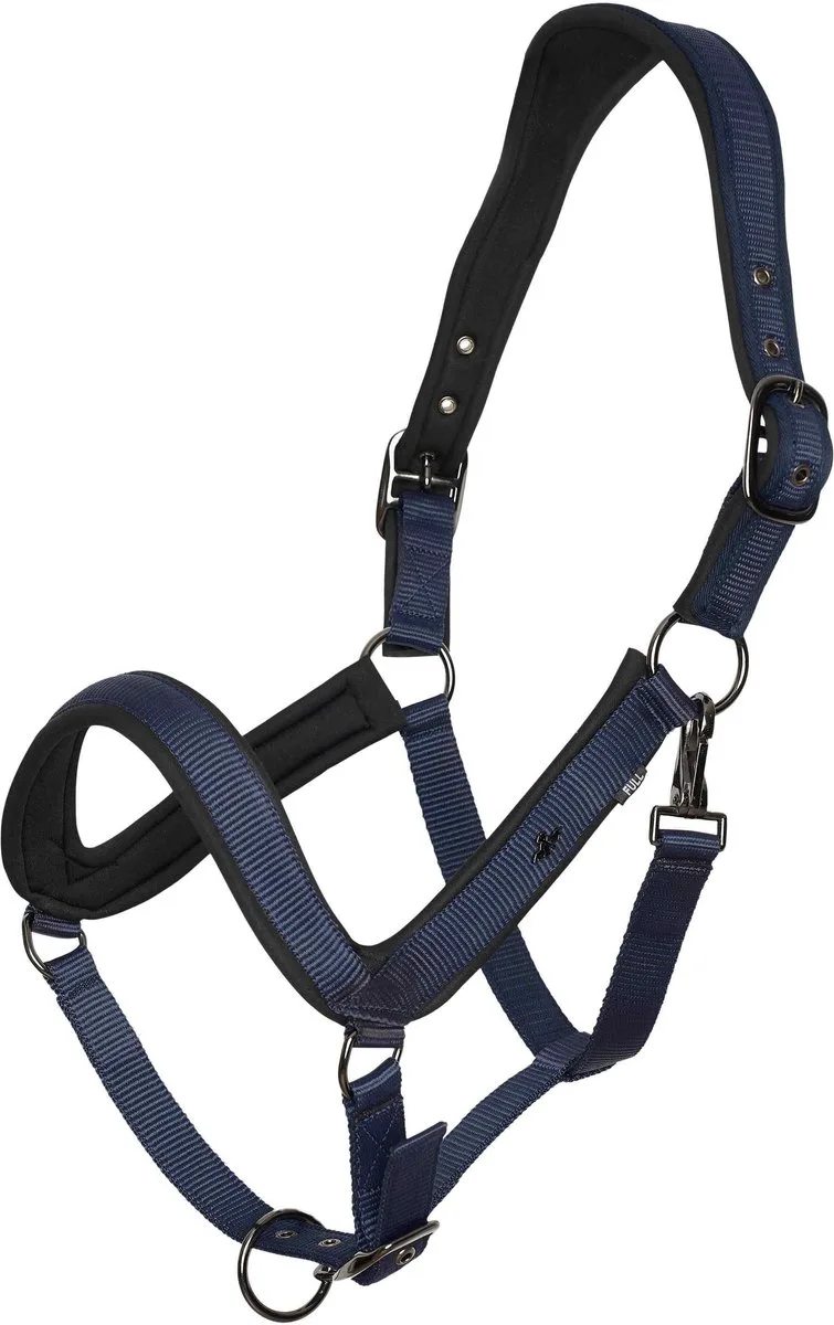 Halster voor paarden HV Polo Essential de HV Polo en Marine – photo produit