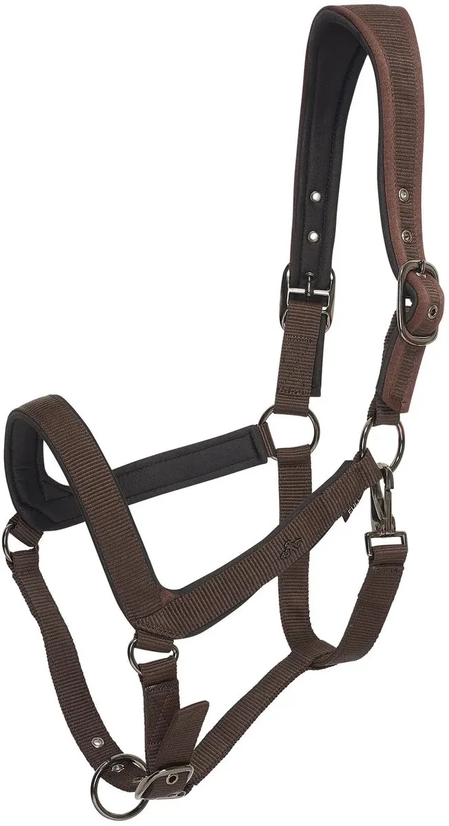 Halster voor paarden HV Polo Essential de HV Polo en Stro – photo produit