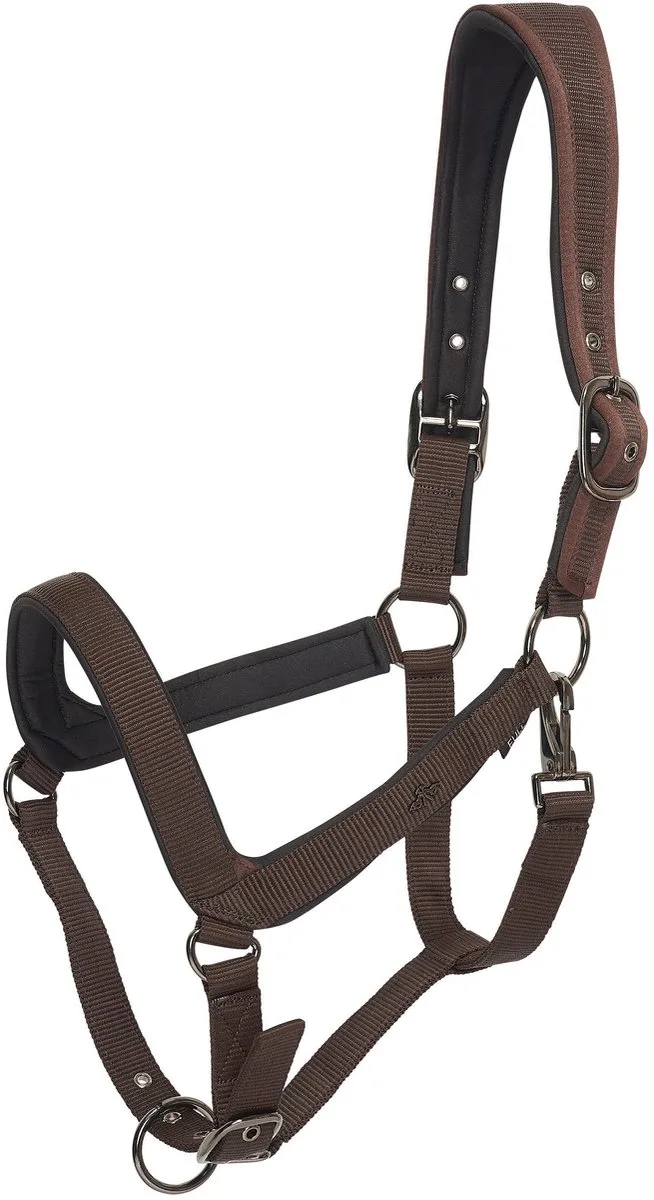 Halster voor paarden HV Polo Essential by HV Polo in Stro – product photo