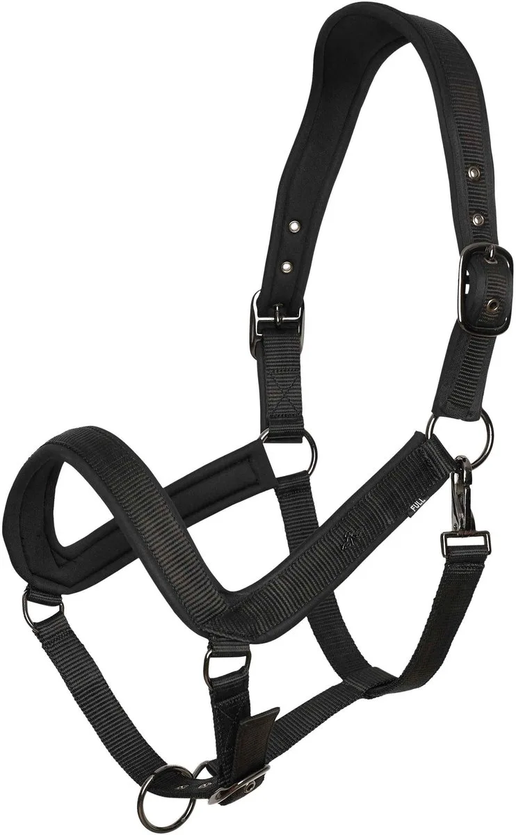 Halster voor paarden HV Polo Essential von HV Polo in Schwarz – Produktfoto