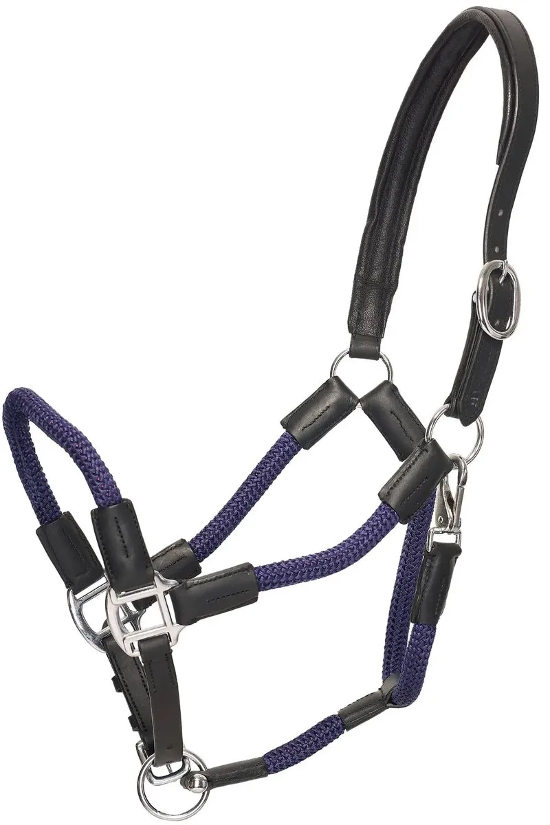 Halster voor paarden HV Polo Franka de HV Polo en Marine – photo produit