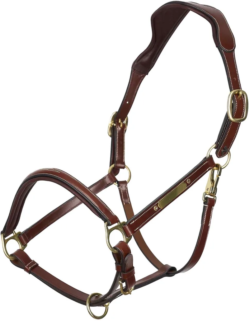 Halster voor paarden HV Polo Legacy de HV Polo en Marron – photo produit