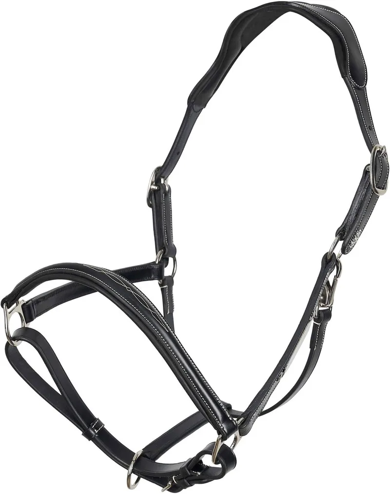 Halster voor paarden HV Polo Legacy de HV Polo en Noir – photo produit
