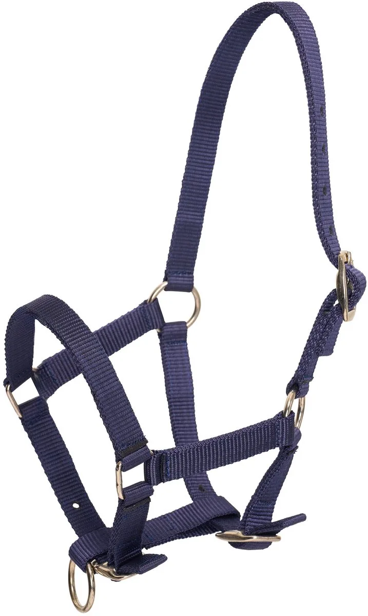 Halster voor paarden HV Polo Nena de HV Polo en Bleu – photo produit