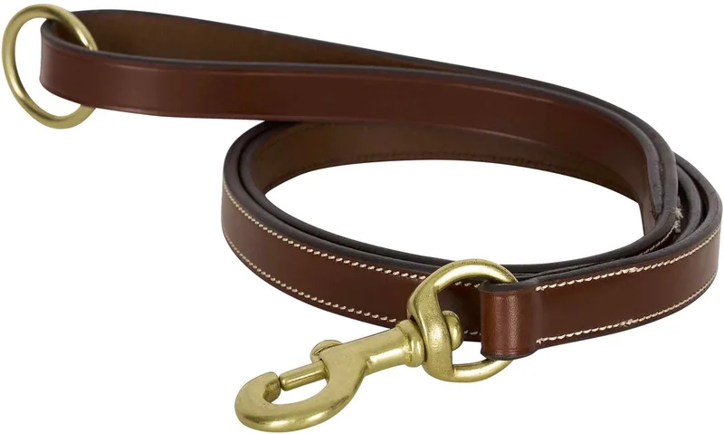 Hondenriem HV Polo Legacy by HV Polo in Chocoladebruin – product photo