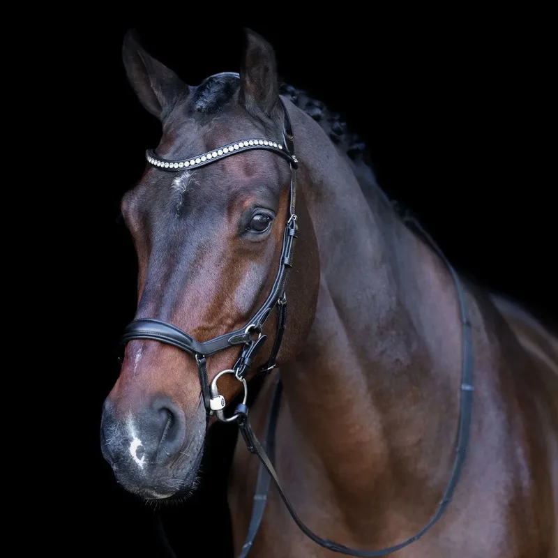 Hoofdstel HV Polo Legacy Anatomique Deluxe von HV Polo in Bruine – Produktfoto