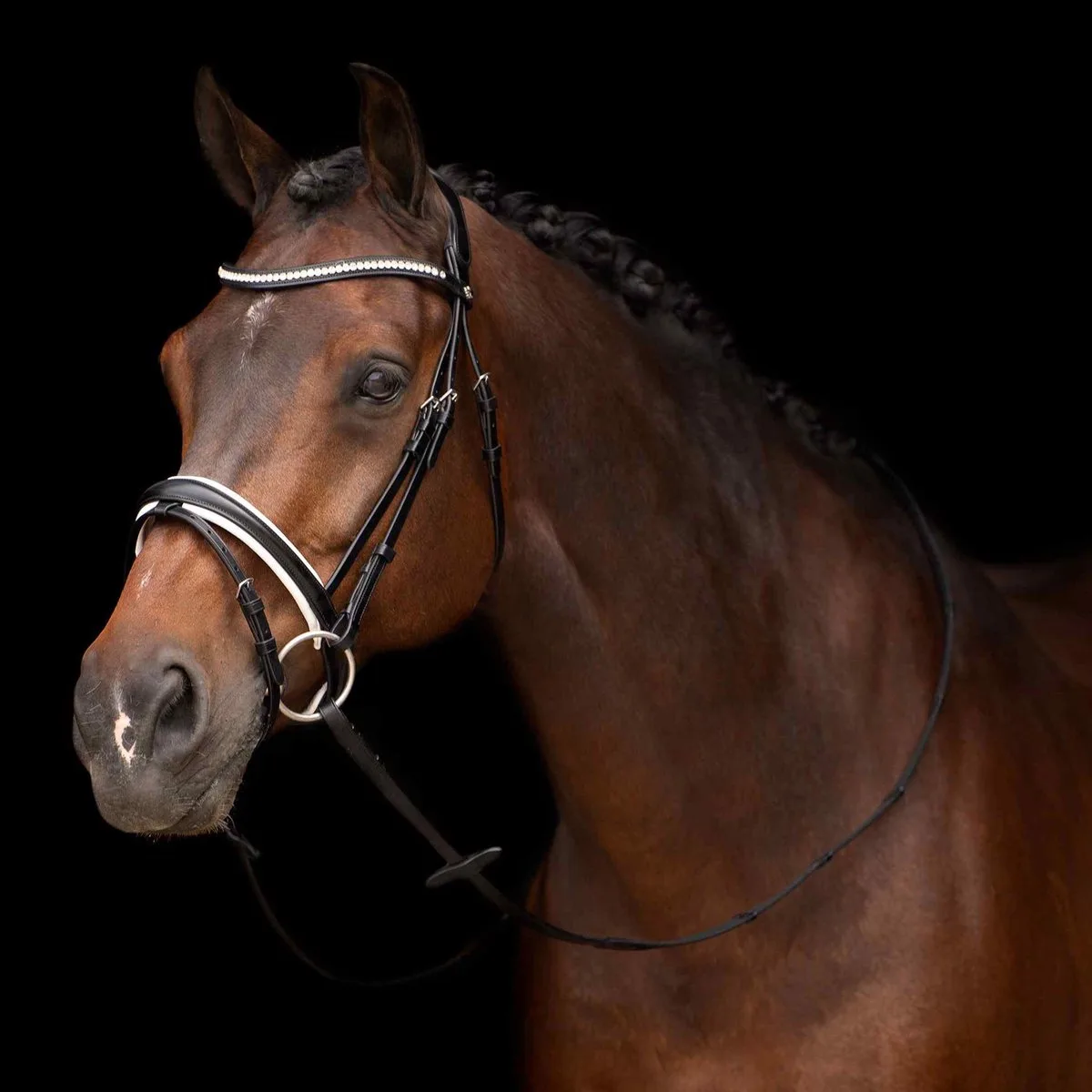 Hoofdstellen HV Polo Legacy deluxe de HV Polo en Noir, Blanc – photo produit