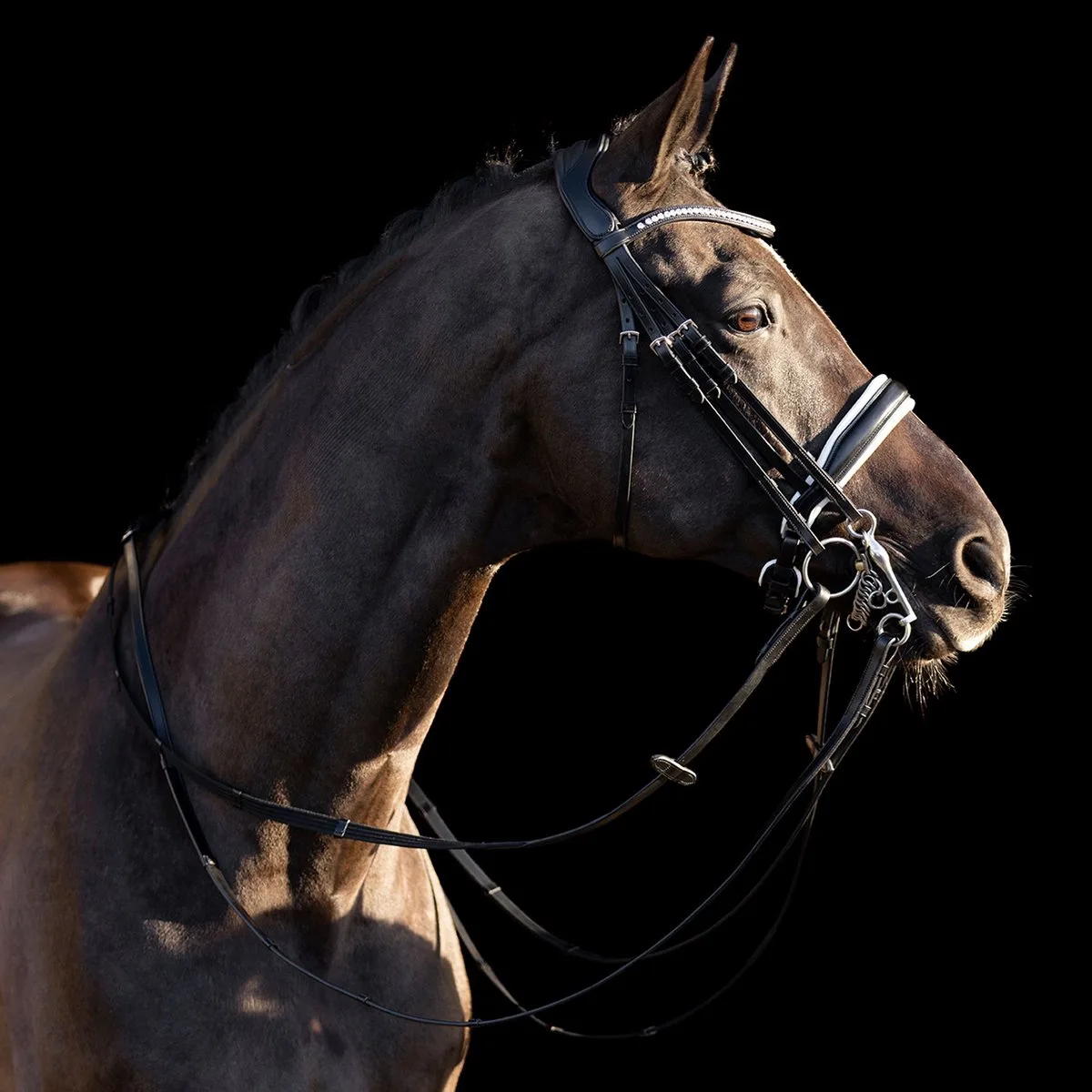 Hoofdstellen HV Polo Legacy deluxe van HV Polo in Zwart, Wit – productfoto