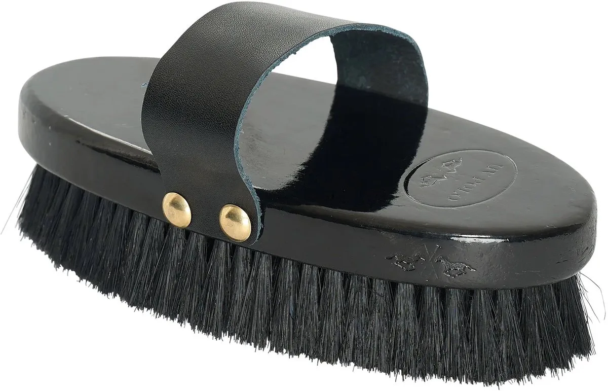 Middelgrote borstel voor paarden HV Polo Natural de HV Polo en Noir – photo produit