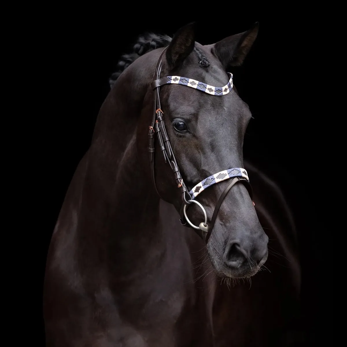 Rijhalster HV Polo Chaya by HV Polo in Brown – product photo