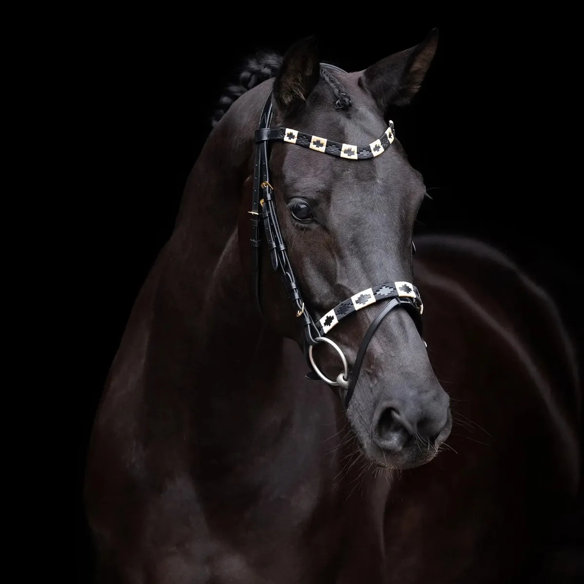 Rijhalster HV Polo Chaya de HV Polo en Noir – photo produit