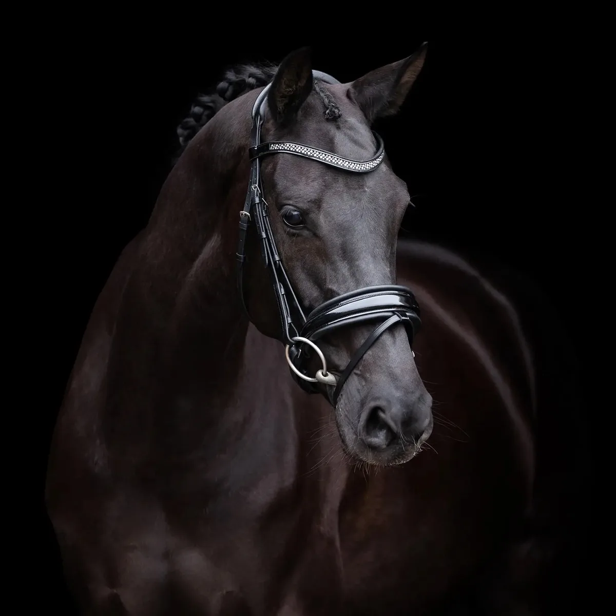 Rijhalster HV Polo Diana de HV Polo en Noir – photo produit