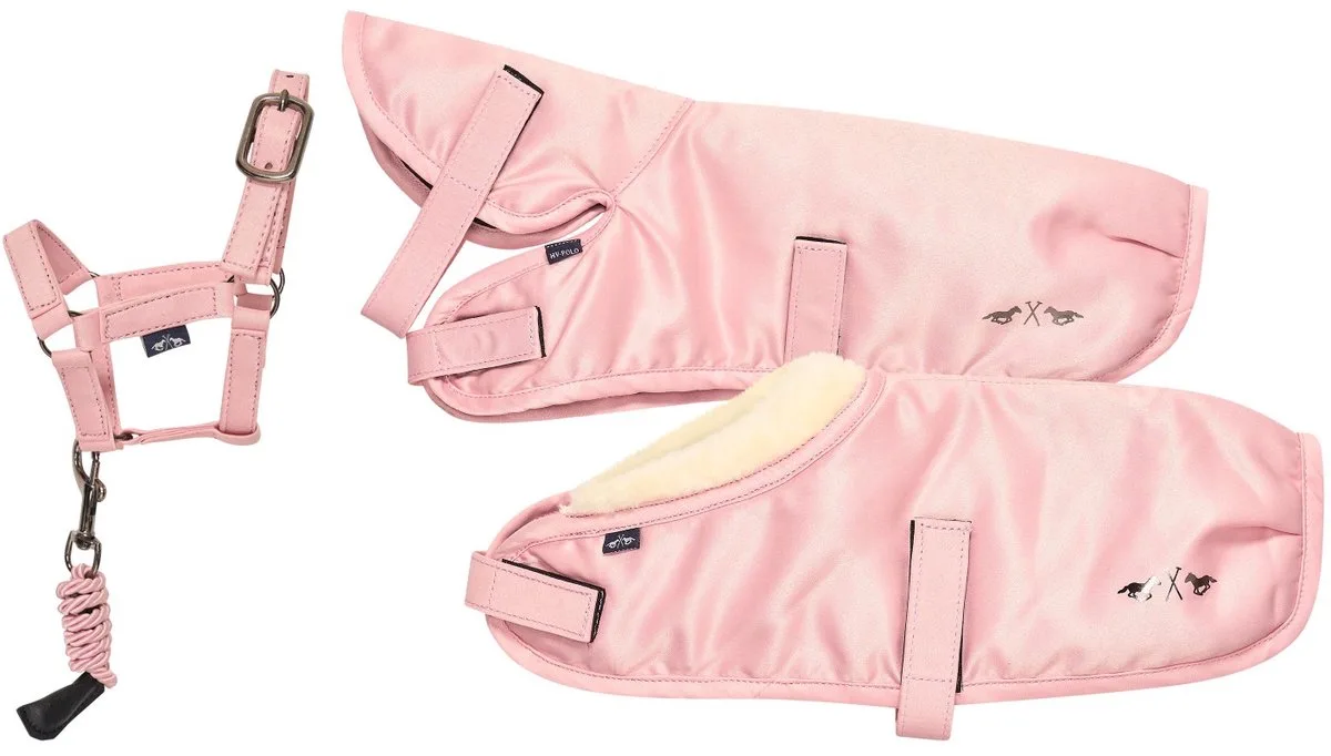 SS26 Speelgoed set stal HVPRuby Pretty pink 1SIZE by HV Polo – product photo