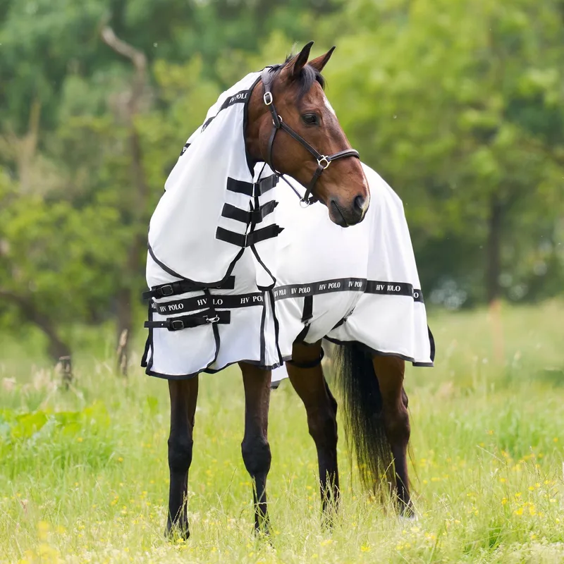 Vliegendeken Nena - 175 von HV Polo in Weiß – Produktfoto