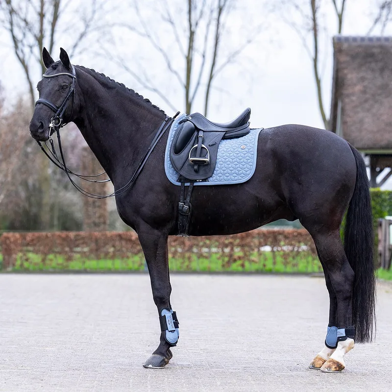 Zadeldek Hv Polo Hvpessential Dressuur de HV Polo en Bleu clair – photo produit