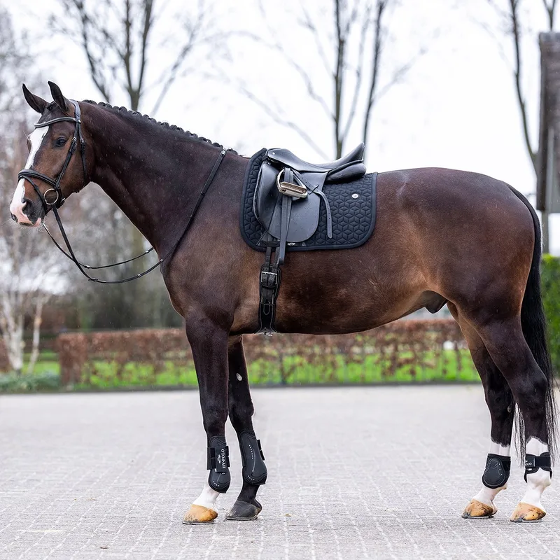 Zadeldek Hv Polo Hvpessential Dressuur by HV Polo in Black – product photo