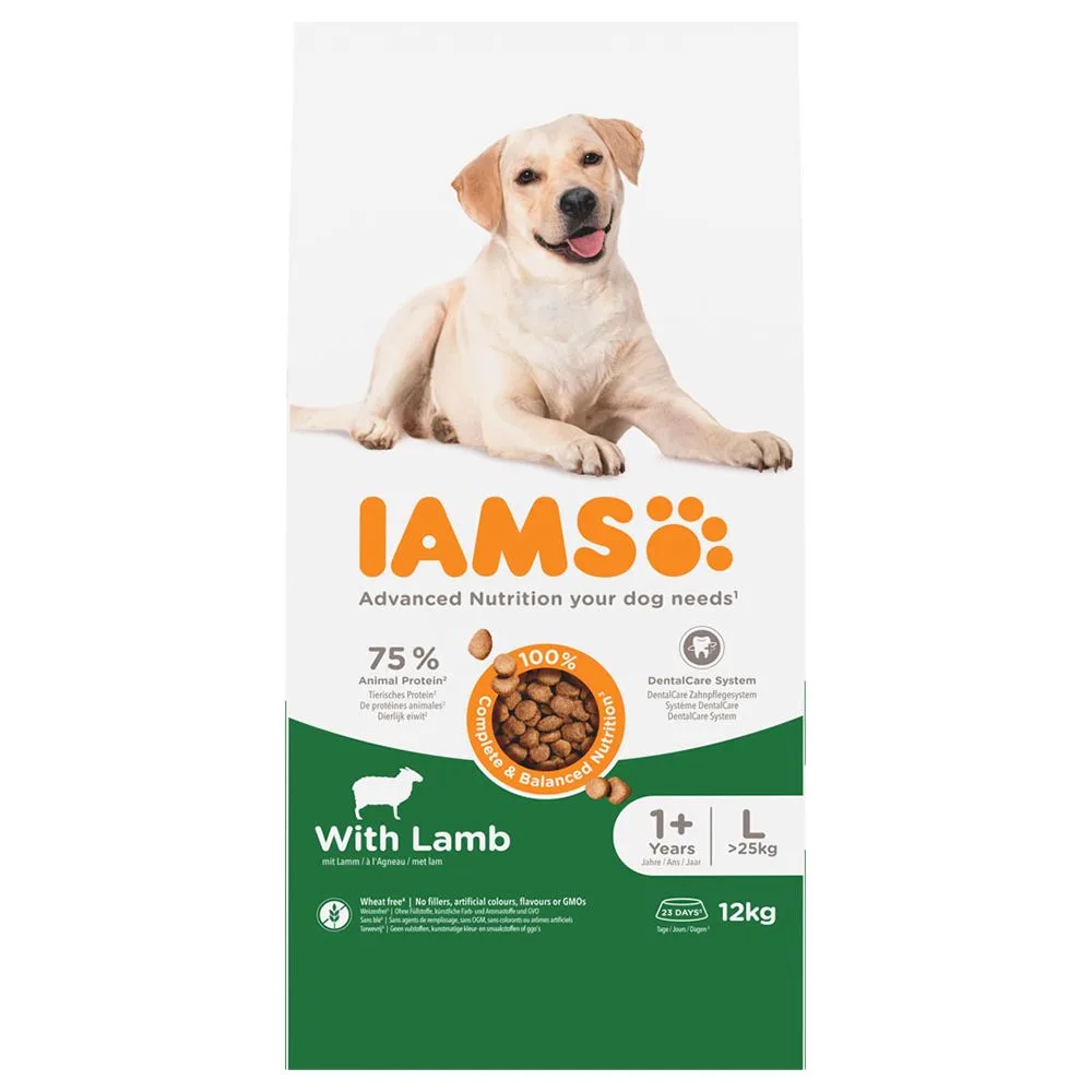 12kg IAMS Advanced Nutrition Adult Large Dog met lam droogvoer voor honden van IAMS – productfoto