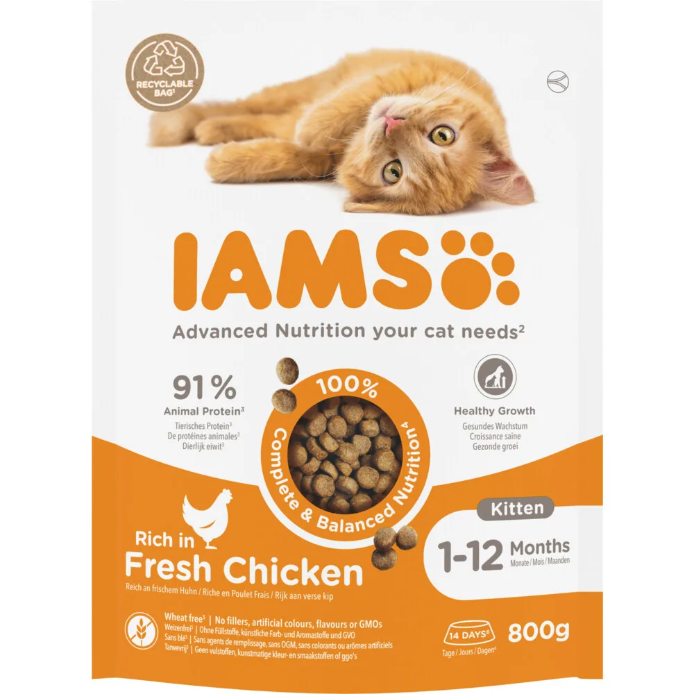 Kat Kitten/Junior Kip 800 gr von IAMS – Produktfoto