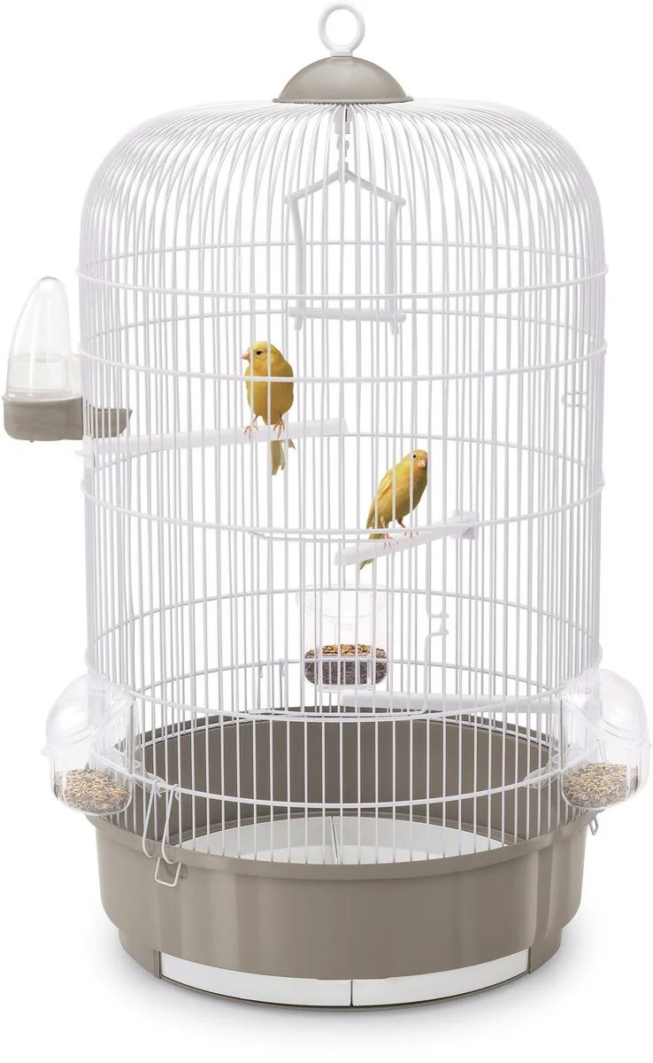 Vogelkooi Luna Taupe - Compacte Ronde Kooi 40x40x65.5cm - Geschikt voor Kanaries, Met Schuiflade en Zitstokken fra Imac i Blå – produktbillede