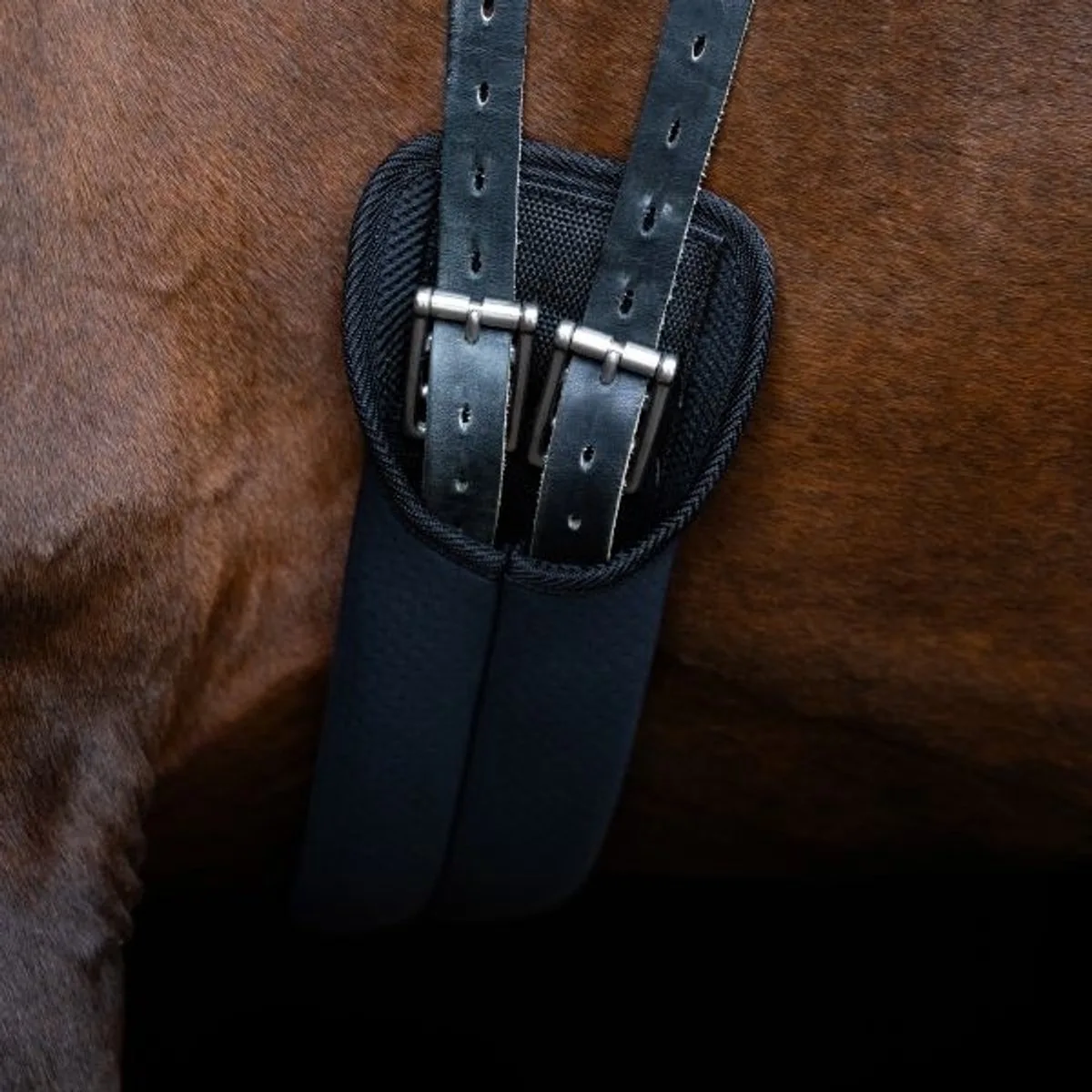 Dressuursingel Neopreen IRH - 65cm | Singels paard fra Imperial Riding i Sort – produktbillede