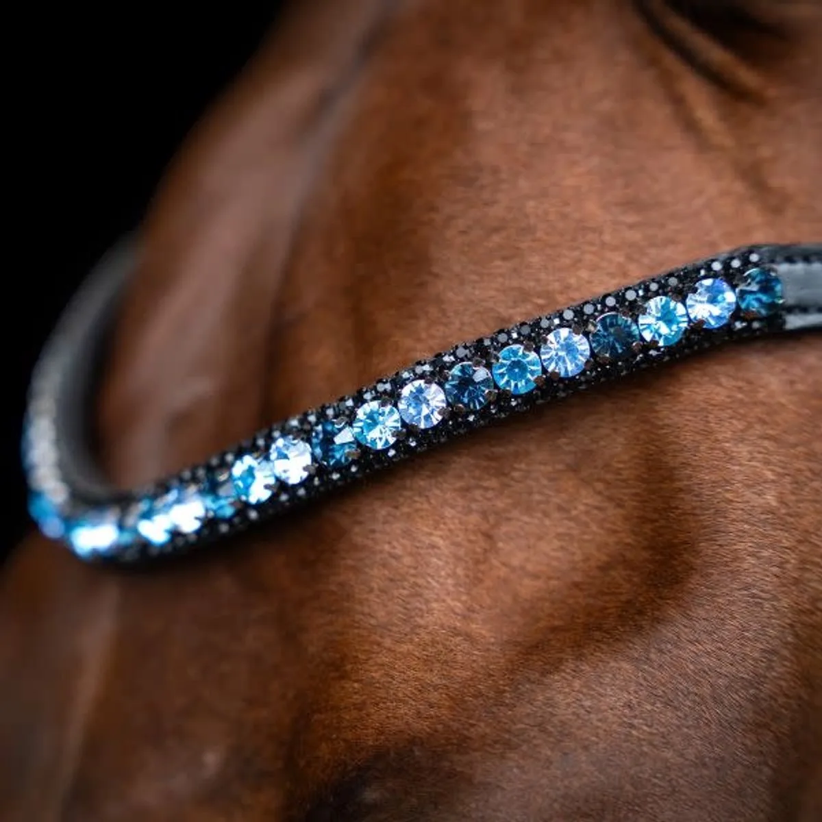 Frontriem IRH Grande Blue - Pony | Frontriemen paard von Imperial Riding in Rot – Produktfoto