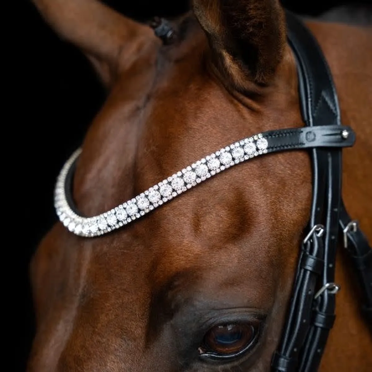Frontriem IRH Slim Silver - Cob | Frontriemen paard de Imperial Riding en Argent – photo produit