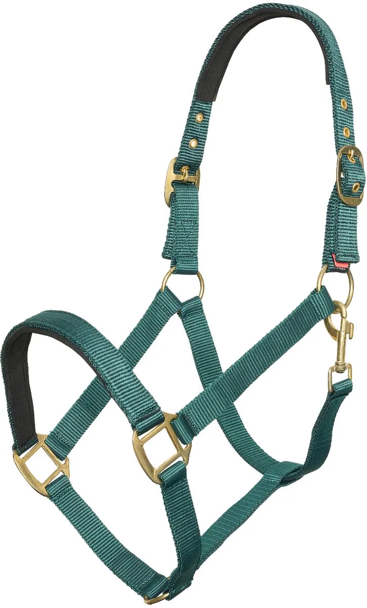 Halster - Classic Sport - Maat Full by Imperial Riding in Forest Green – product photo