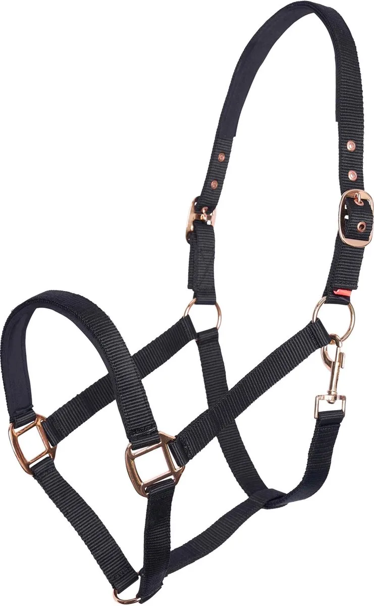 Halster - Classic Sport - Maat Veulen by Imperial Riding in Black – product photo