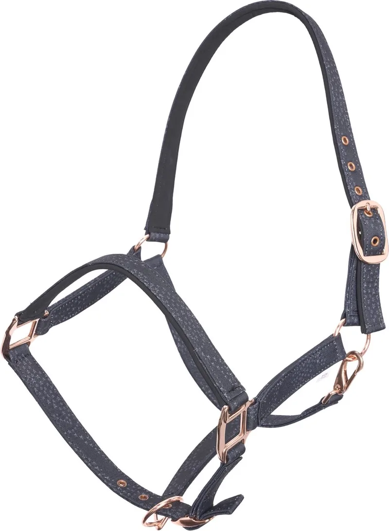 Halster Flower Bomb - Black Zebra - Maat Pony de Imperial Riding en Noir – photo produit