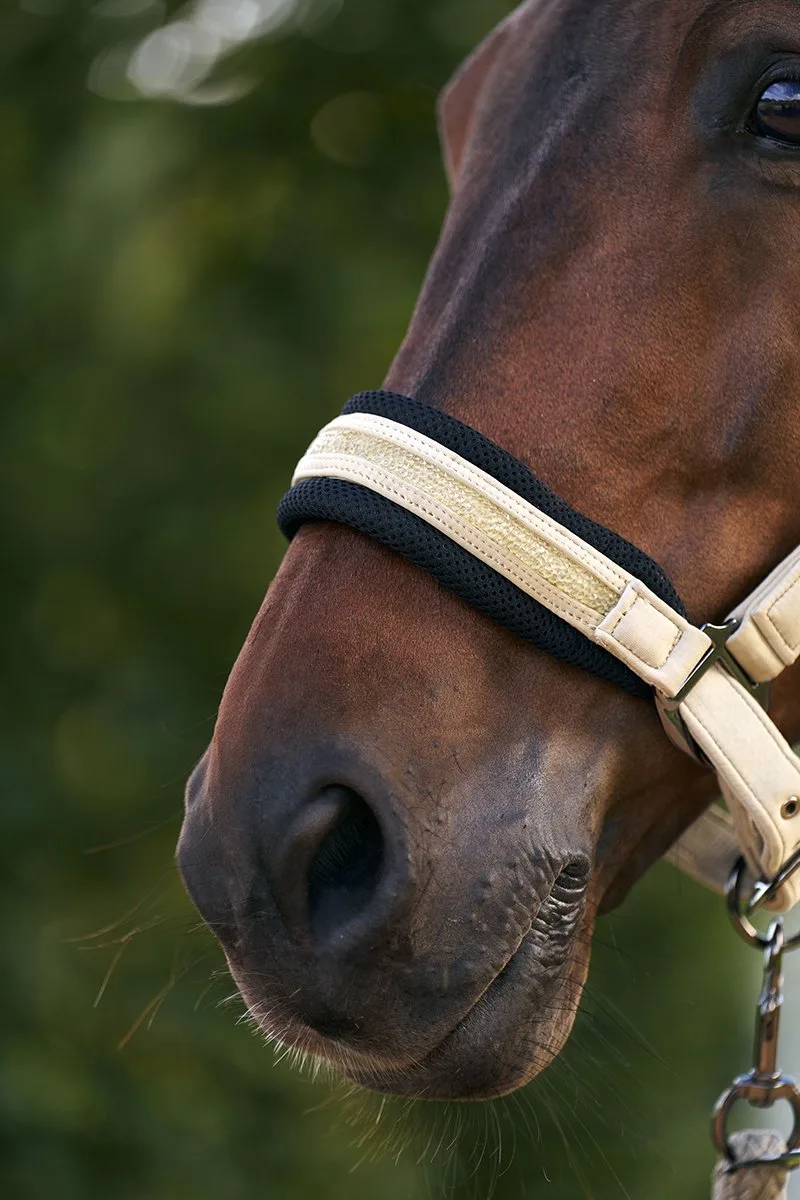 Halster Imperial Riding Irhjewel Mesh de Imperial Riding en Vert – photo produit