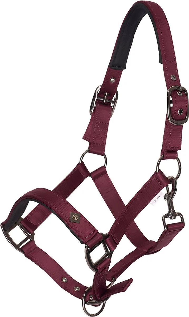 Halster Imperial Riding Irhrebel de Imperial Riding en Donkerpaars – photo produit