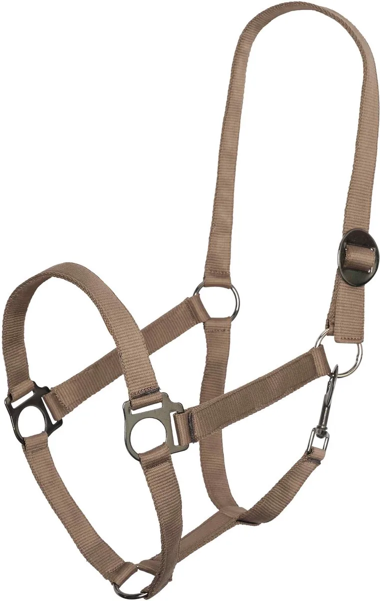 Halster IRHEconomic Pony by Imperial Riding in Cappuccino – product photo