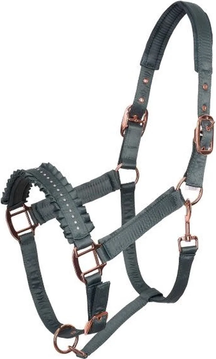 Halster Lovely Cappuccino - Pony de Imperial Riding – photo produit