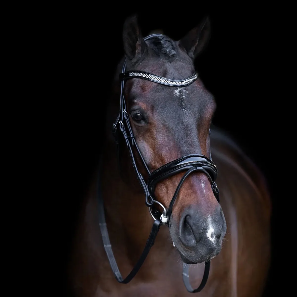 Hengsttuig met Engelse neusriem Imperial Riding de Imperial Riding en Black-crystal – photo produit