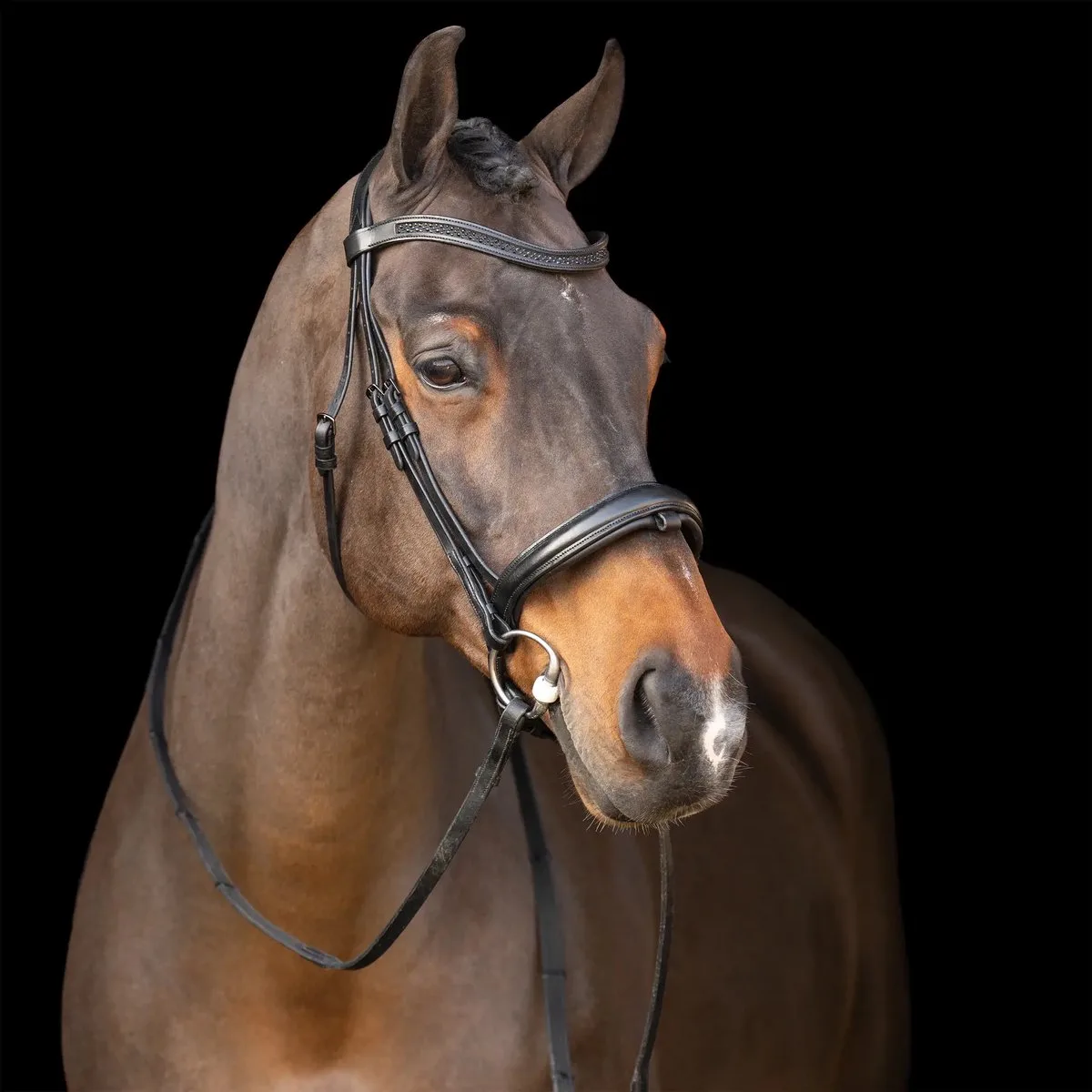 Hengsttuig met Engelse neusriem Imperial Riding von Imperial Riding in Zwart-zwart – Produktfoto
