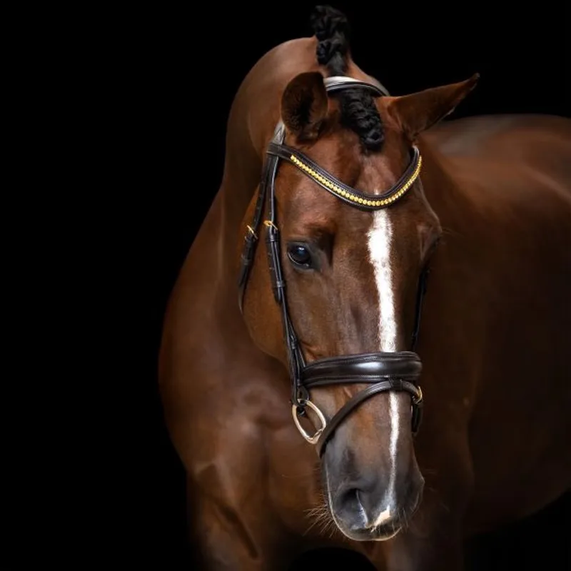Hoofdstel IRH eenvoudige gecombineerde neusriem - Bruin - Full/S by Imperial Riding – product photo