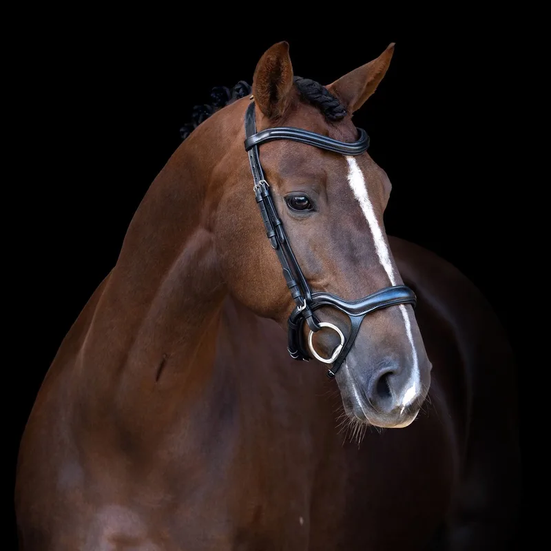 Hoofdstel IRH met ergonomische lage neusriem/sperriem - Black - Full von Imperial Riding – Produktfoto
