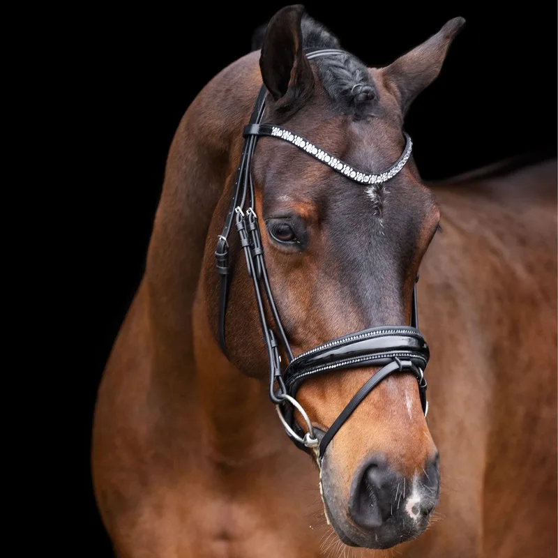 Hoofdstel Olympia Black-Silver Full - Anatomisch hoofdstel met strass frontriem en neusriem de Imperial Riding en Noir, Argent – photo produit