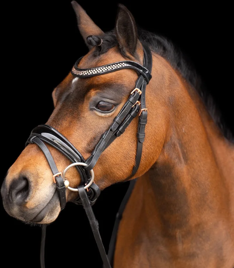 Hoofdstel Petit Sapphire - Pony | Hoofdstel paard de Imperial Riding – photo produit