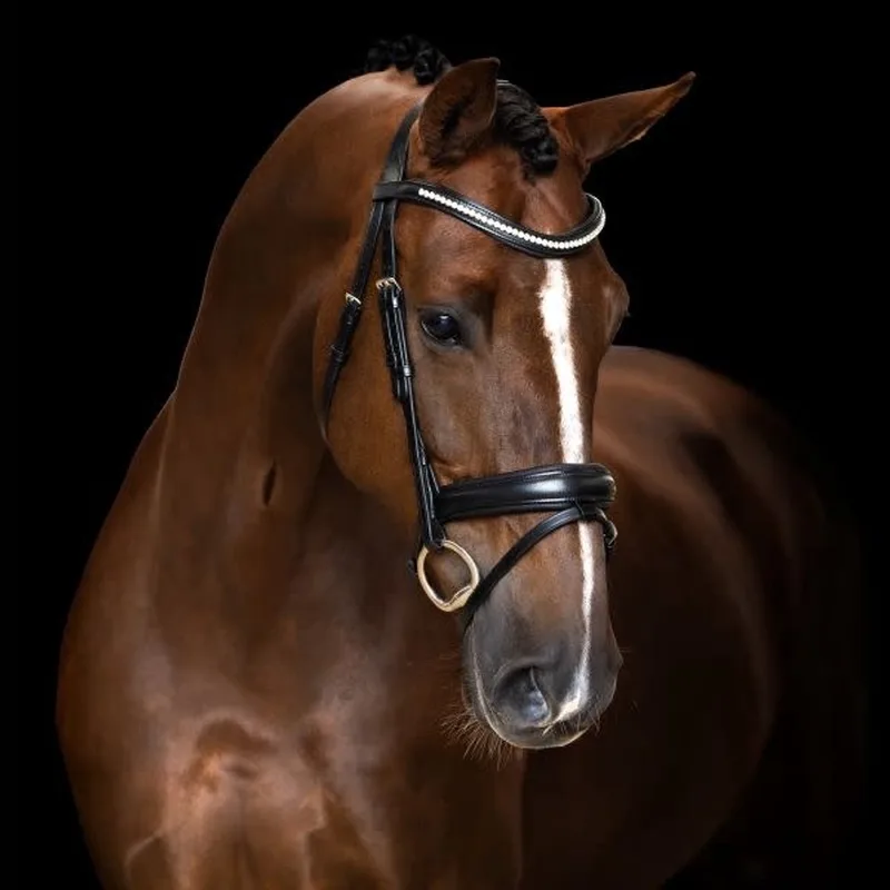 Hoofdstel simpel gecombineerde neusriem IRH - Cob by Imperial Riding in Black – product photo