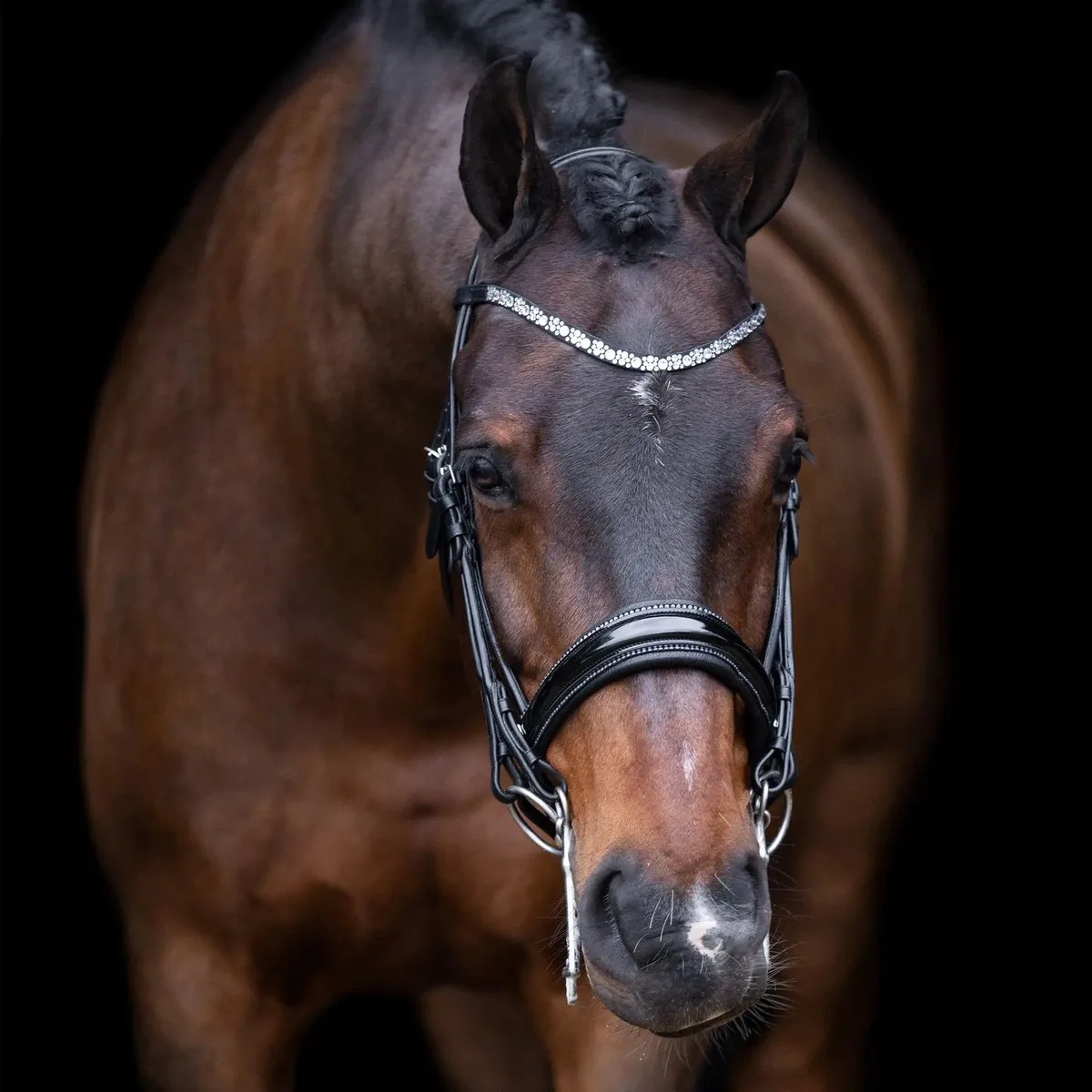 Hoofdstellen Imperial Riding Olympia von Imperial Riding in Schwarz – Produktfoto