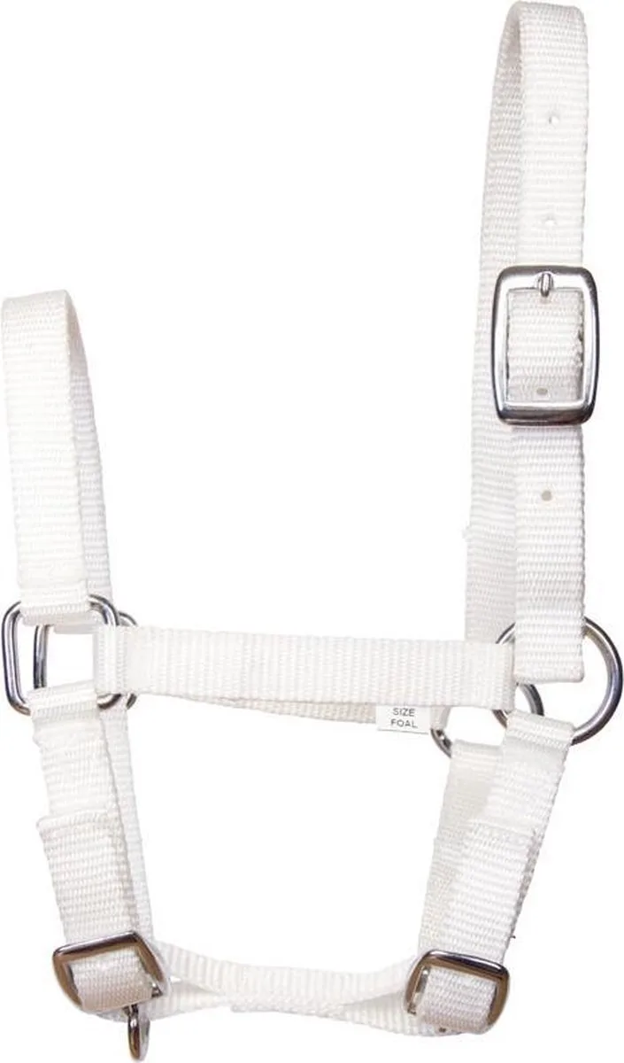 Imperial Halster nylon veulen met gespen de Imperial Riding en Blanc – photo produit