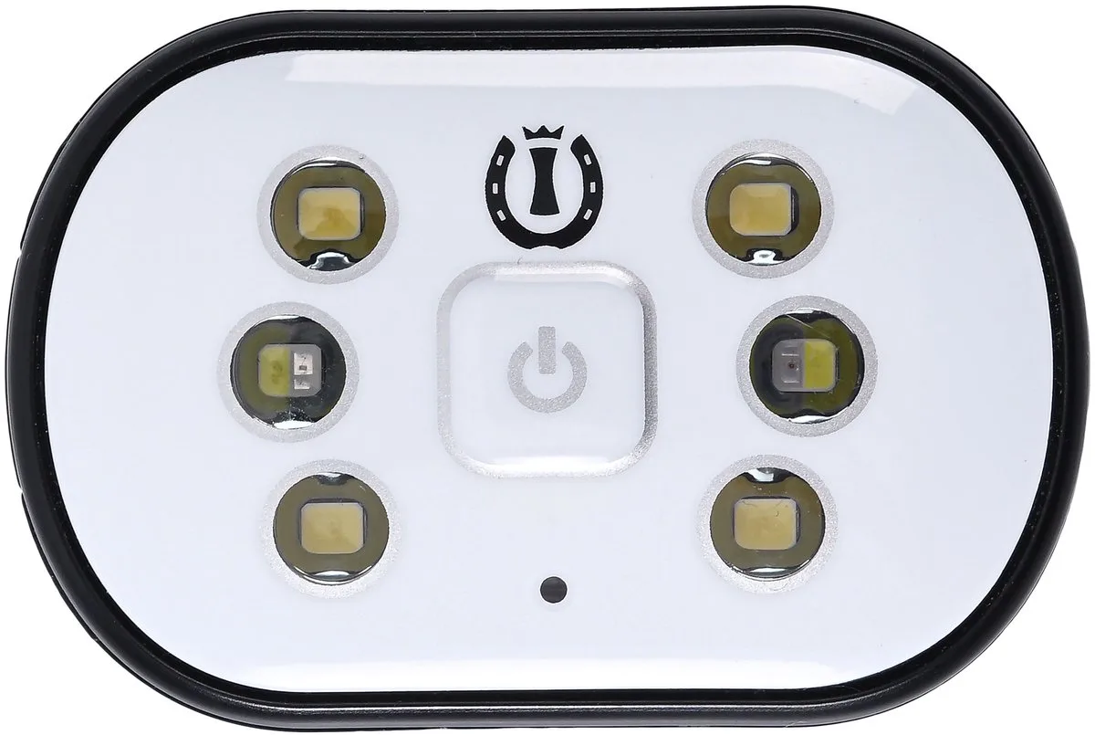LED lichtjes IRHLuminous-Silver - 1SIZE by Imperial Riding in Silver – product photo