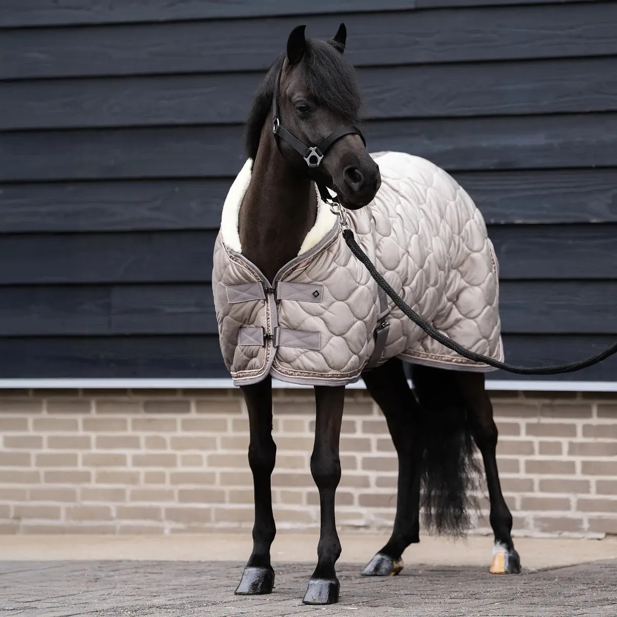 Paardendeken Imperial Riding Bandit 0g de Imperial Riding en Mol – photo produit